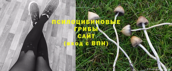 каннабис Мегион