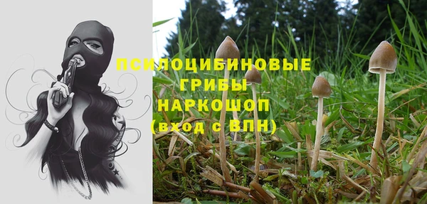 ПСИЛОЦИБИНОВЫЕ ГРИБЫ Медвежьегорск