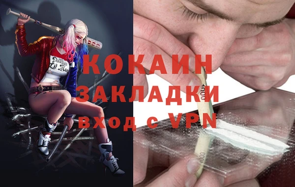 ПСИЛОЦИБИНОВЫЕ ГРИБЫ Медвежьегорск