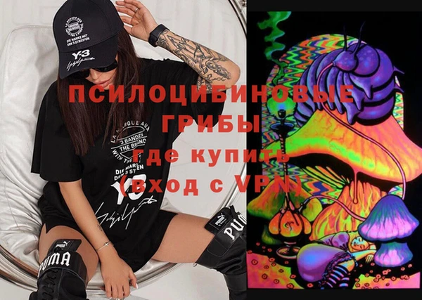 ПСИЛОЦИБИНОВЫЕ ГРИБЫ Медвежьегорск