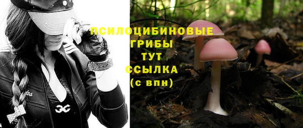 а пвп мука Медногорск